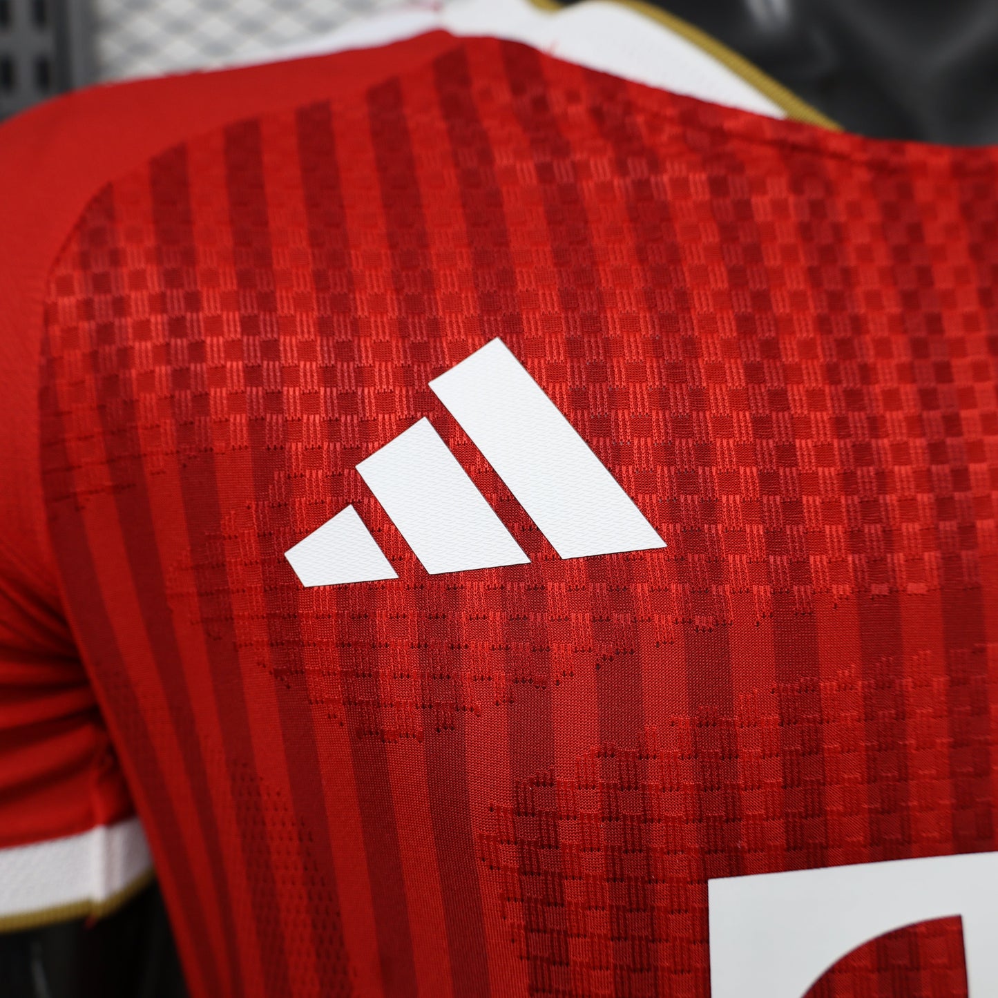 2026/2027 Bayern Munchen Local Manga Larga Kit