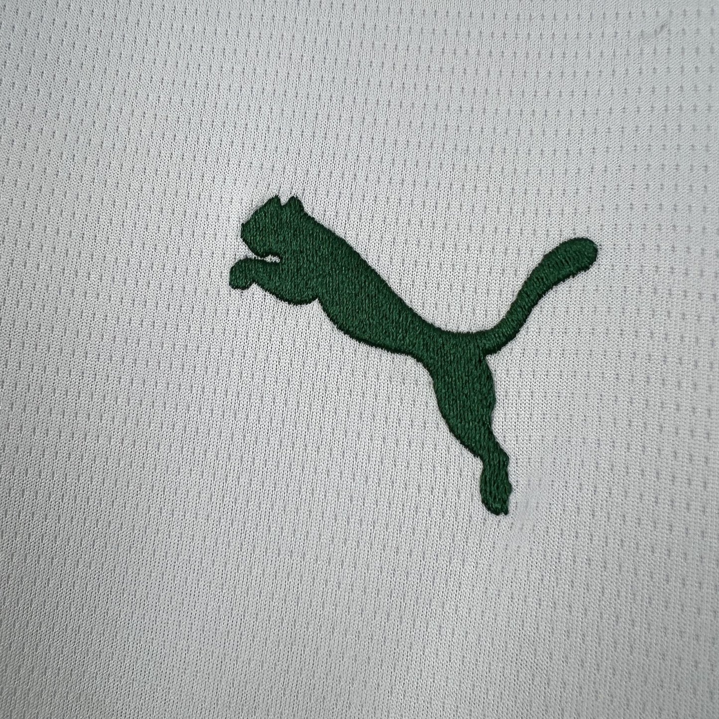 2026/2027 Palmeiras Visitante Kit
