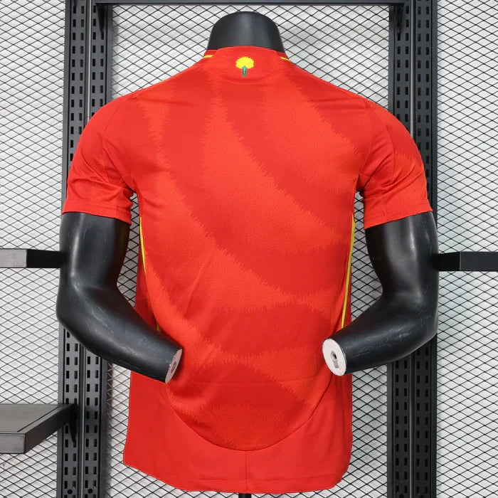 Spain 2024/2025 Local Kit
