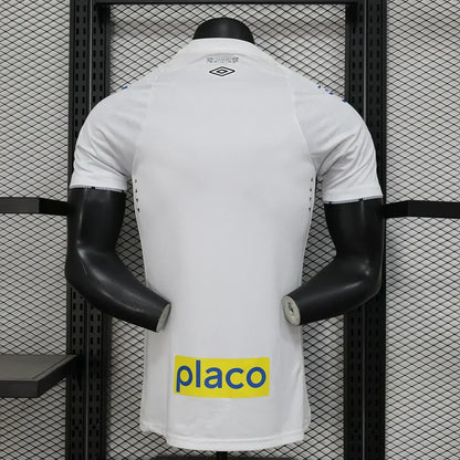 Santos 2024/2025 Local
